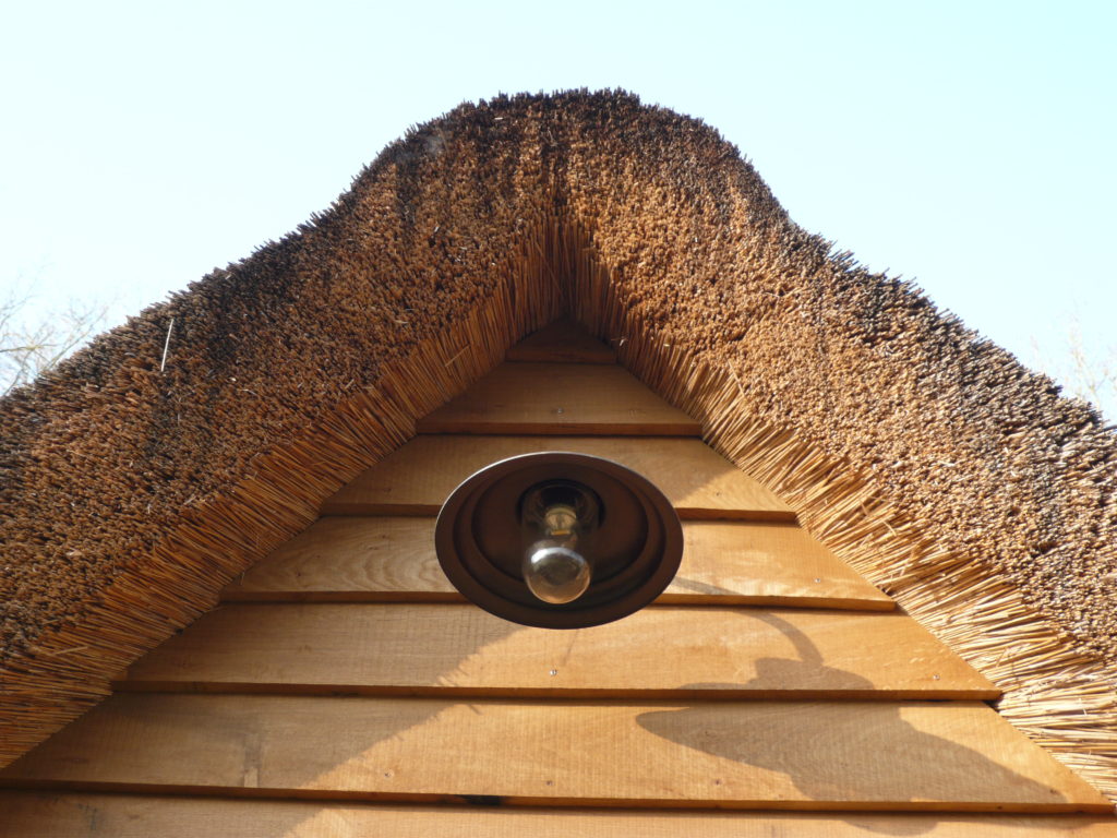 Rieten dak door Dirk van Gompel